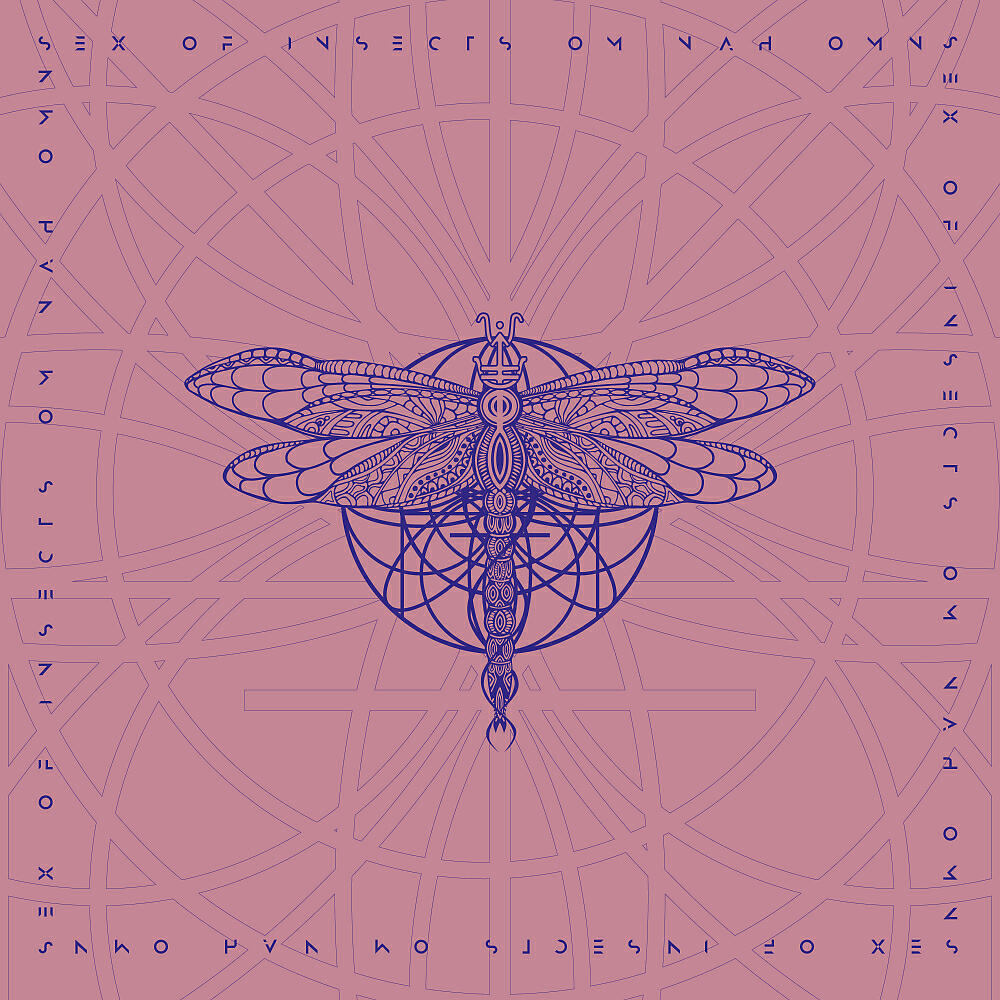 Sex Of Insects - Om Nah Omn (ONO Remix)