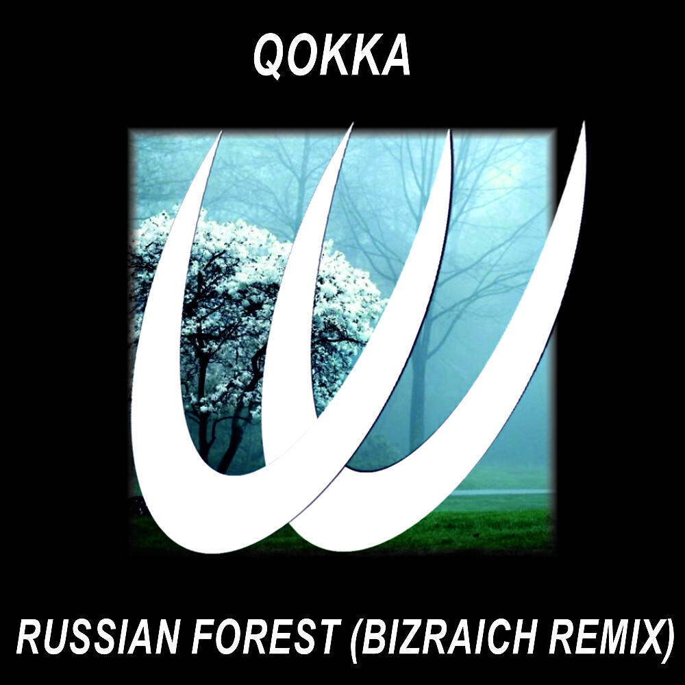 Qokka - Russian Forest (Bizraich Remix) (Original Mix)
