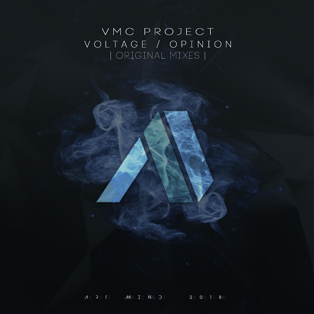 VMC Project - Opinion (Original Mix)