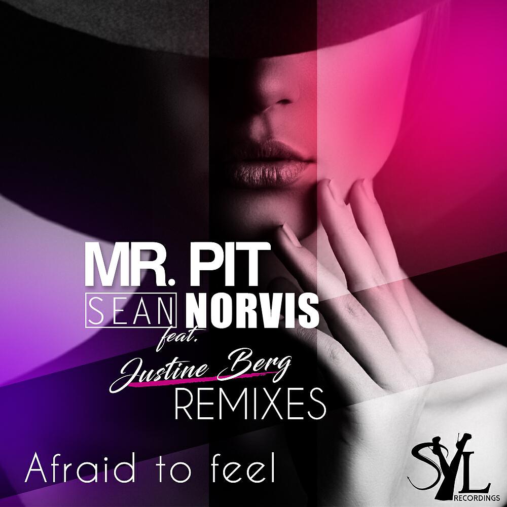 Mr. Pit - Afraid To Feel (Ummi Remix)