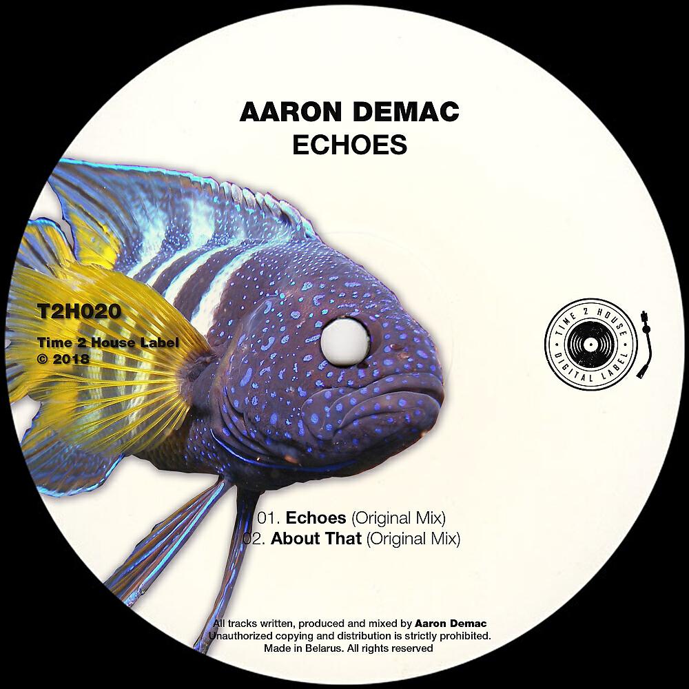 Aaron DeMac - Echoes (Original Mix)