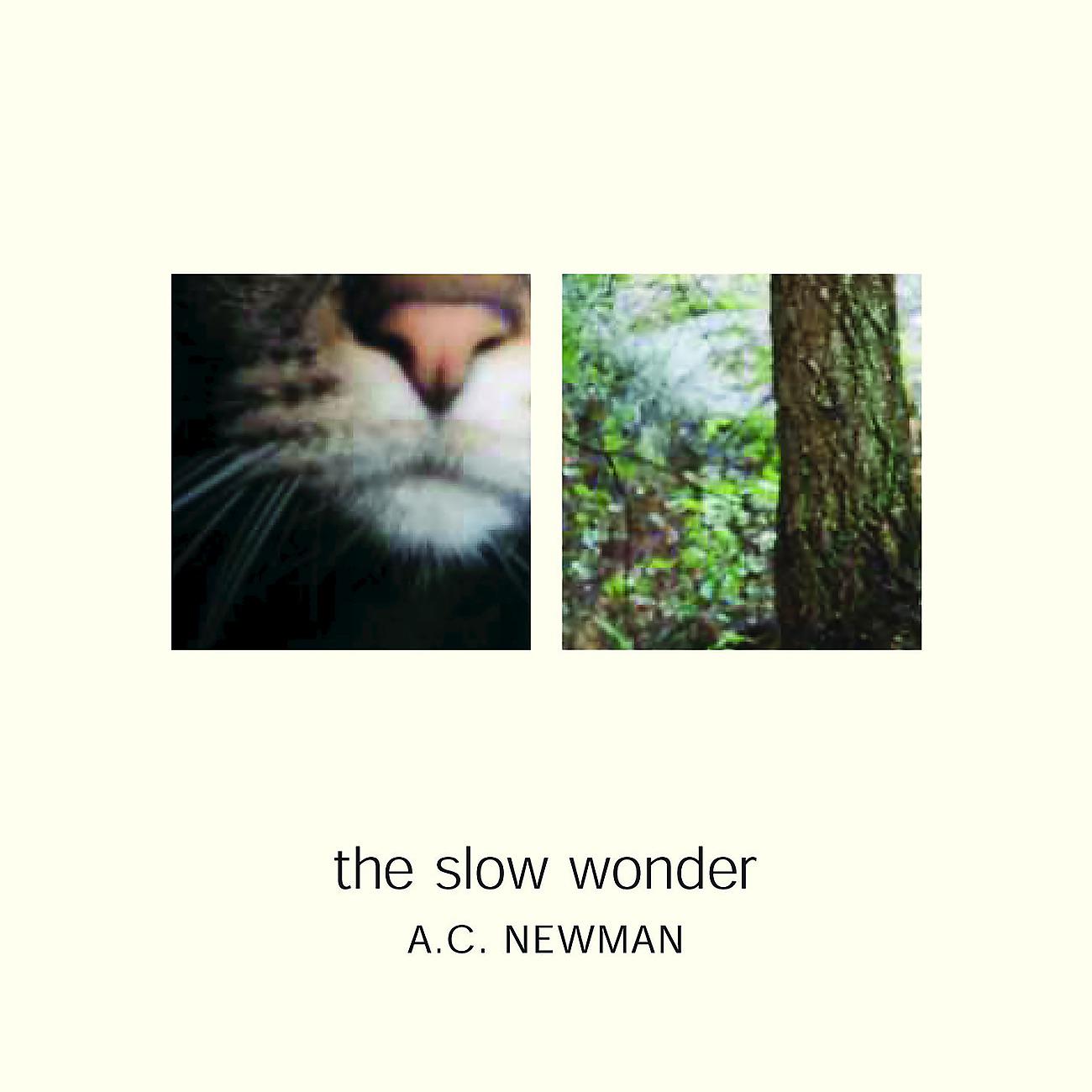 Постер альбома The Slow Wonder