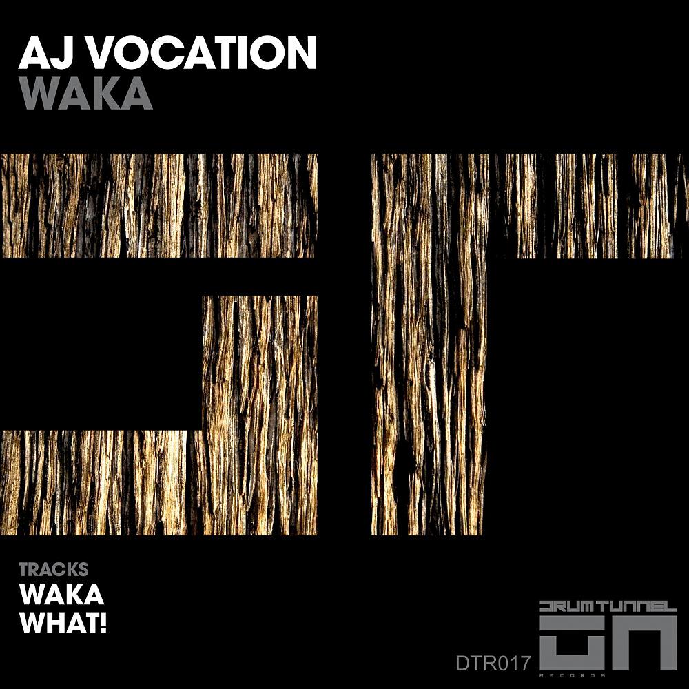 AJ Vocation - What! (Original Mix)