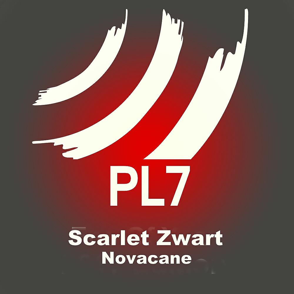 Scarlet Zwart - Arousal (Original Mix)