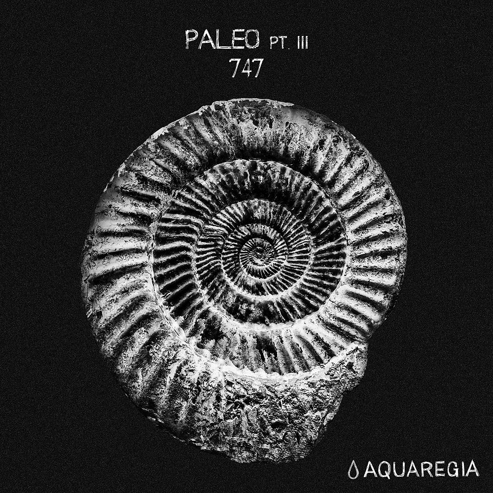 Постер альбома Paleo, Pt. 3