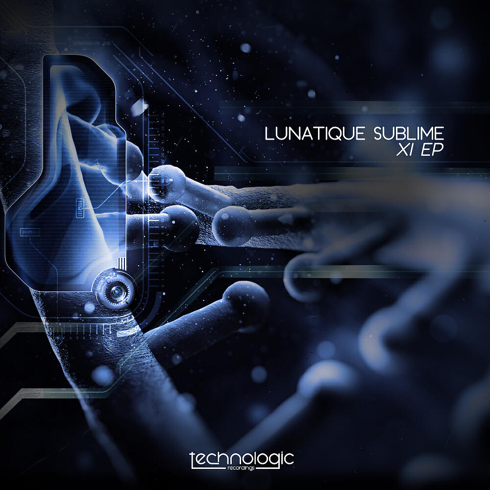 Lunatique Sublime - Gull (Original Mix)