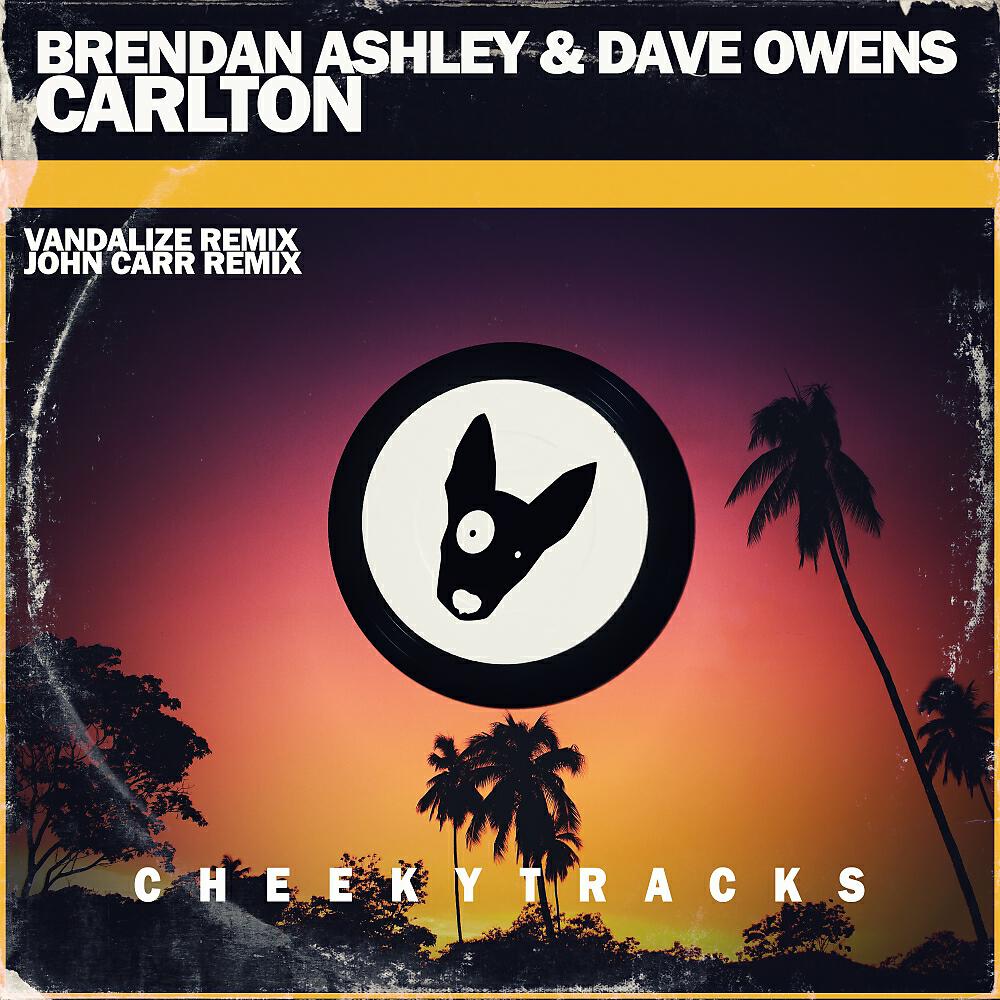 Brendan Ashley - Carlton (Vandalize Remix Edit)