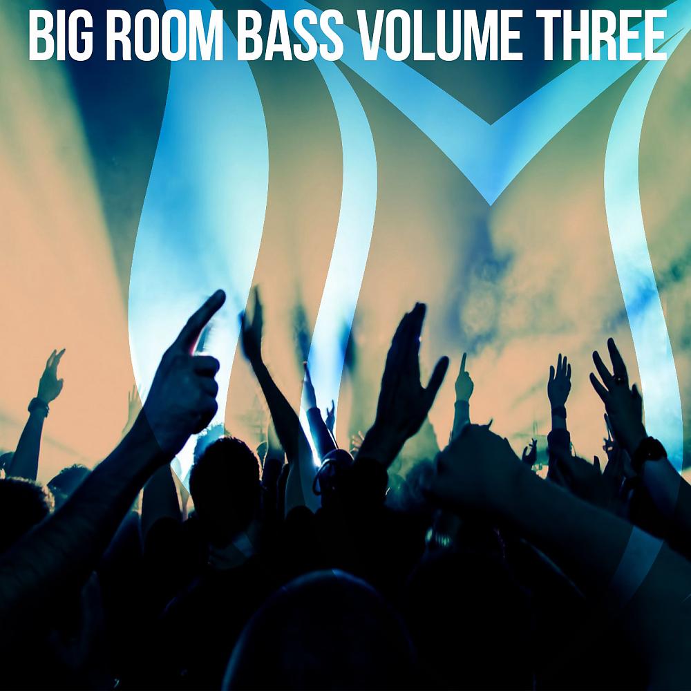 Постер альбома Big Room Bass, Vol. 3