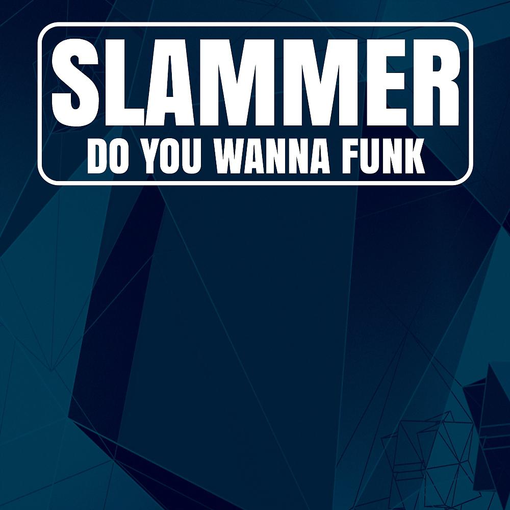 Постер альбома Do You Wanna Funk