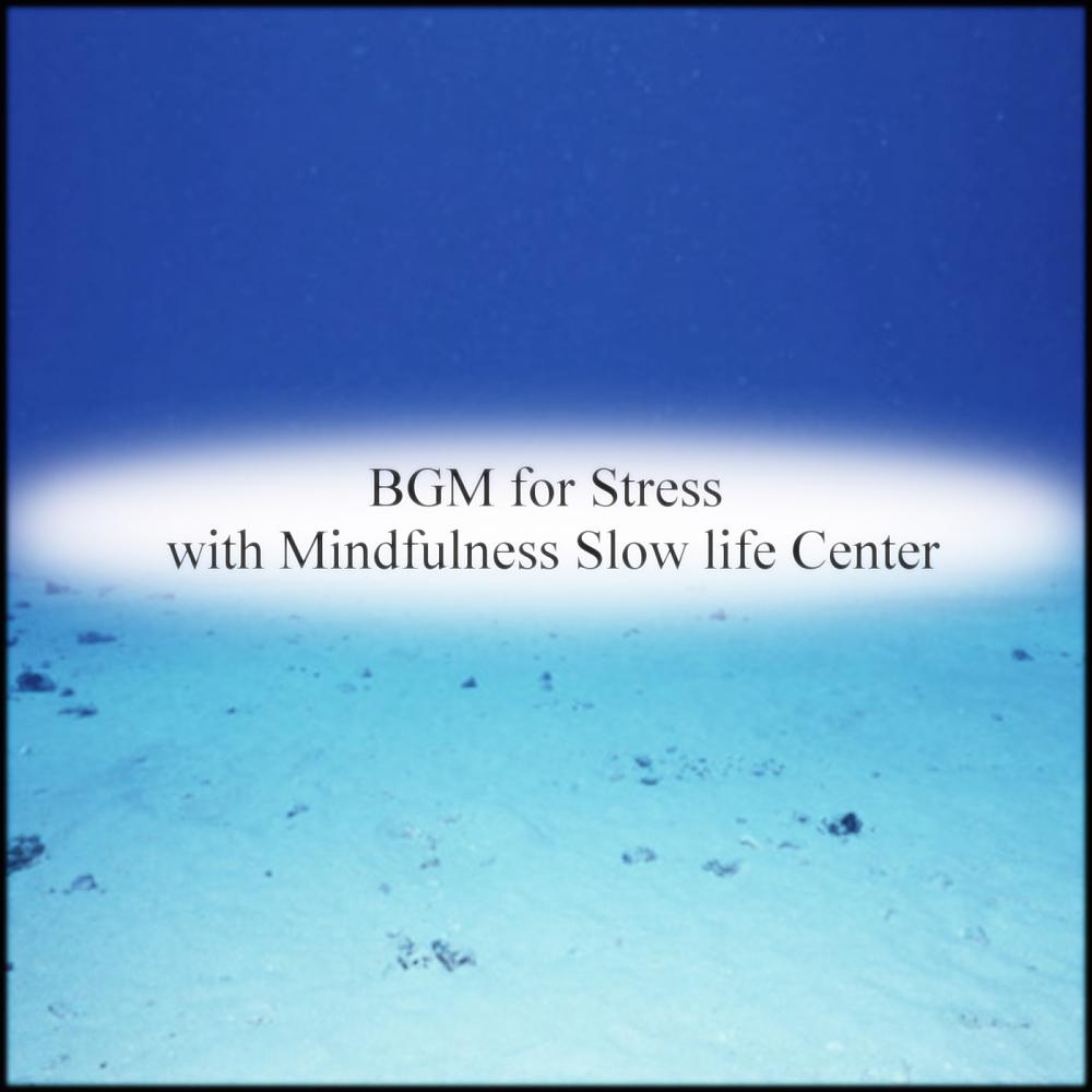 Постер альбома BGM for Stress with Mindfulness Slow life Center