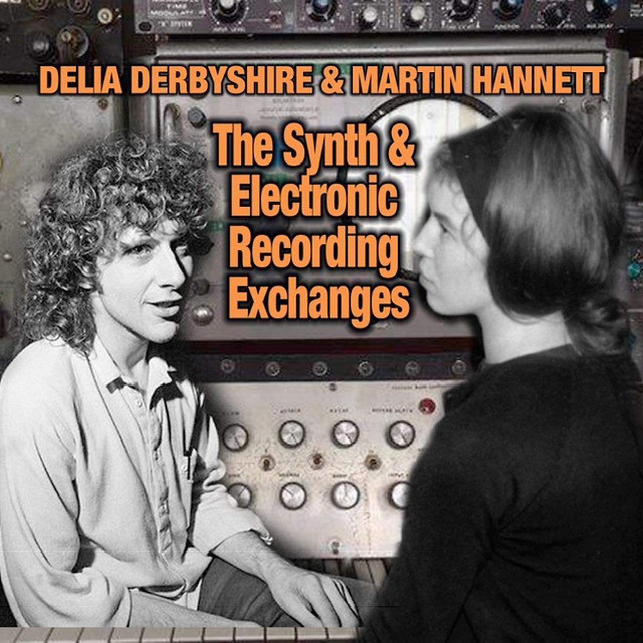 Постер альбома The Synth And Electronic Recording Exchanges