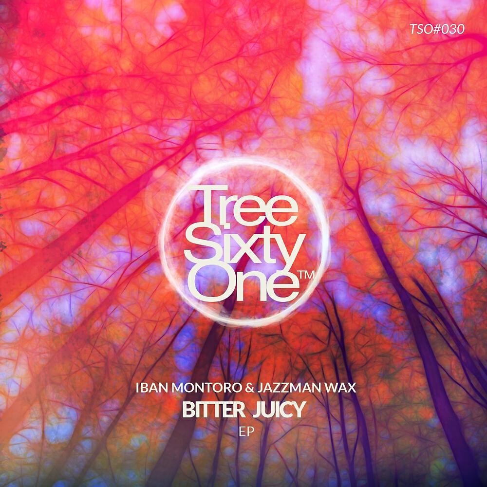 Iban Montoro - Say Sampling (Original Mix)