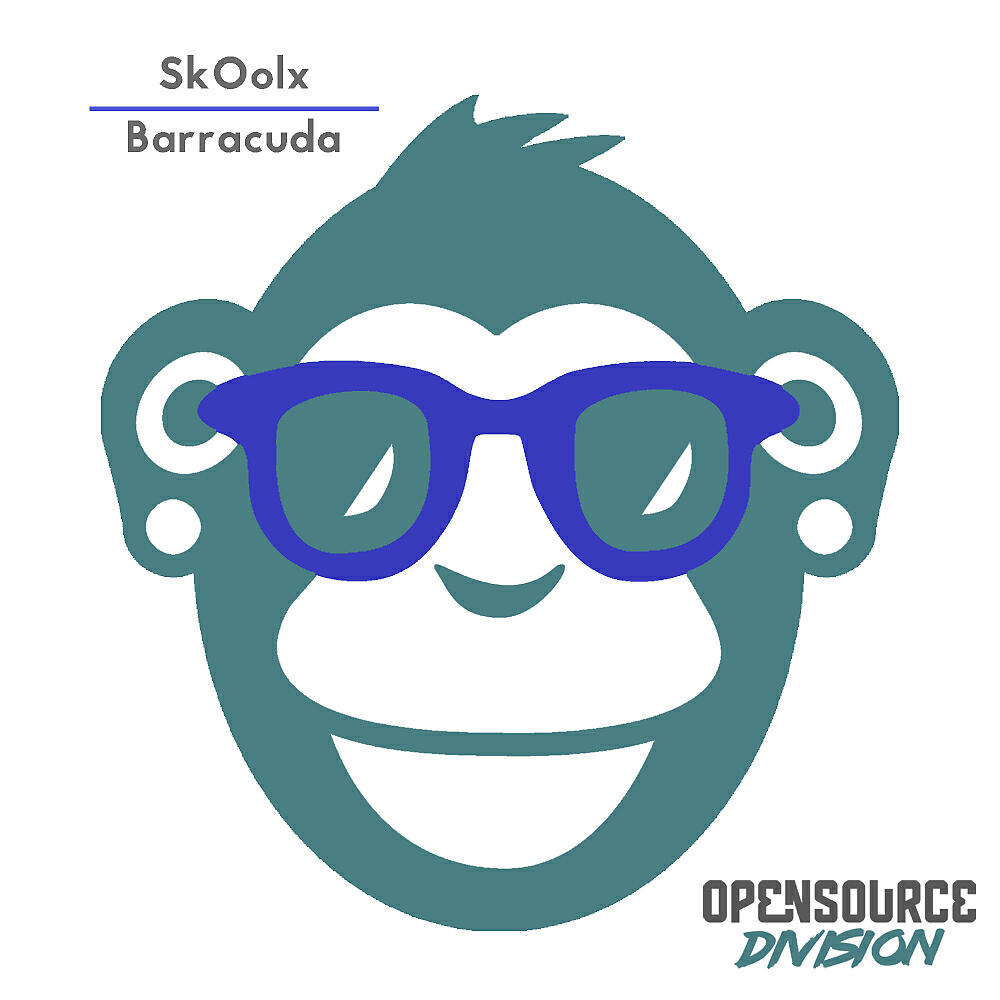SkOolx - Changeover (Original Mix)