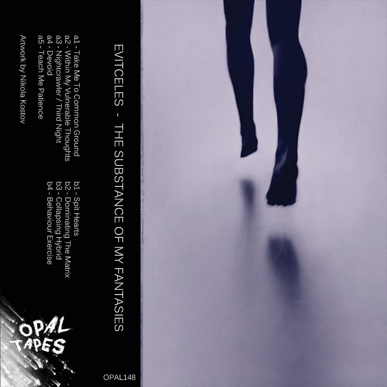 Evitceles - Take Me To Common Ground
