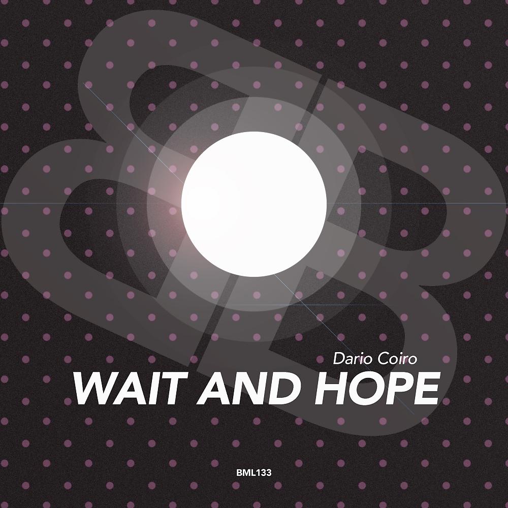 Постер альбома Wait And Hope