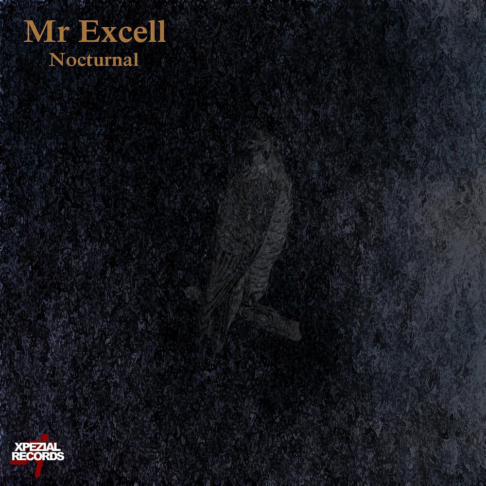 Mr Excell - Nocturnal (Original Mix)