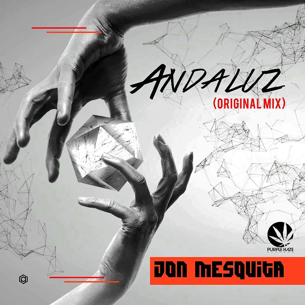 Постер альбома Andaluz