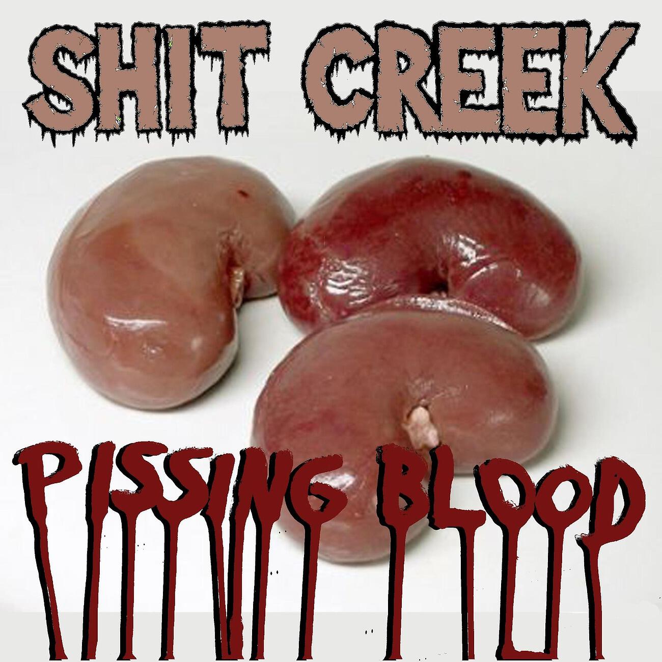 Shit Creek - Pissing Blood / Song For Lance