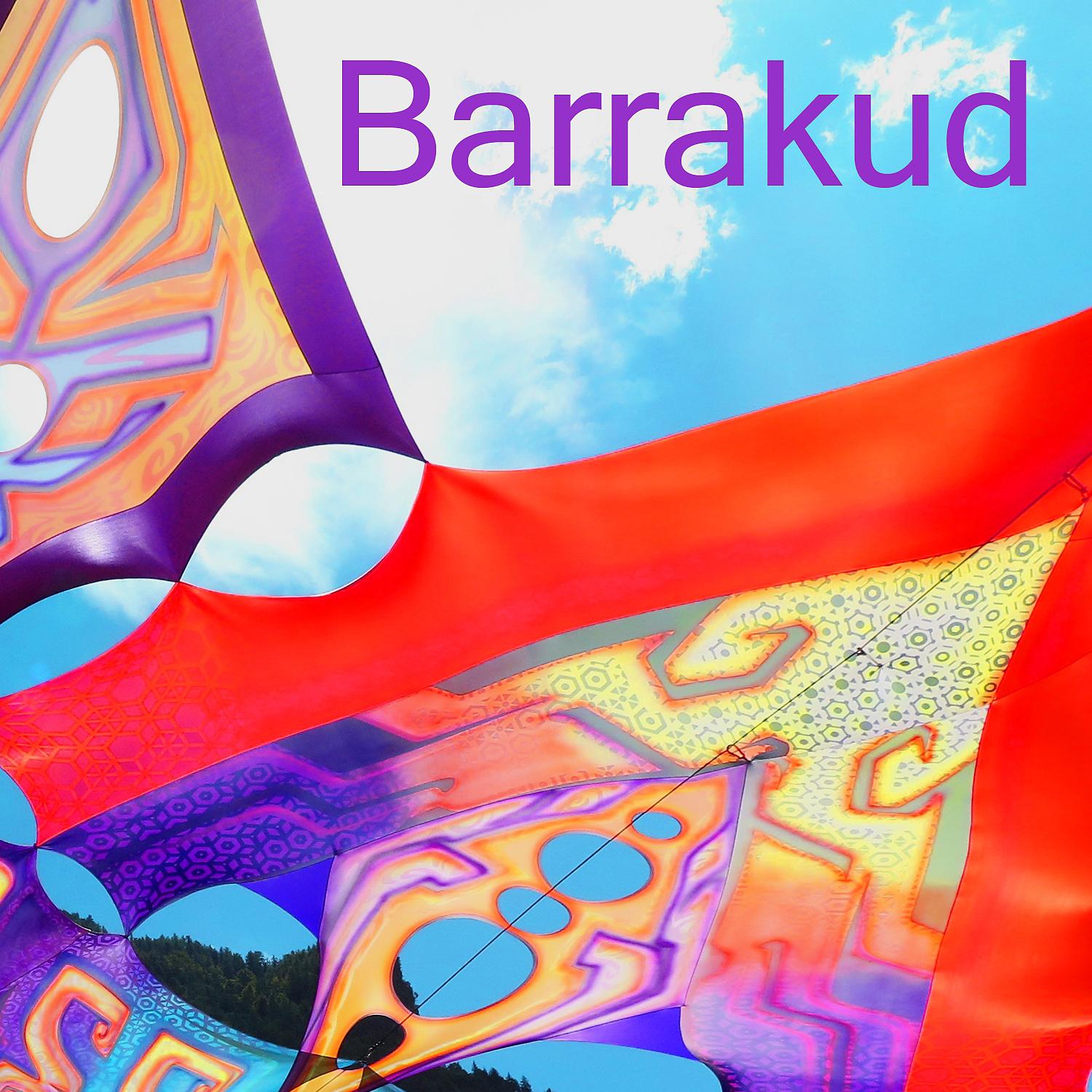 Постер альбома Barrakud