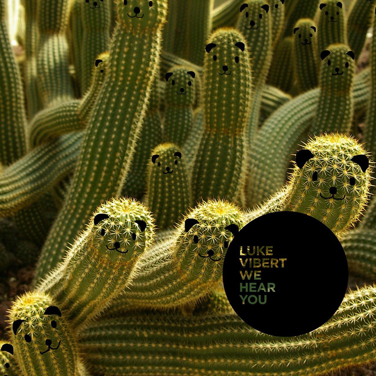 Luke Vibert - Square Footage