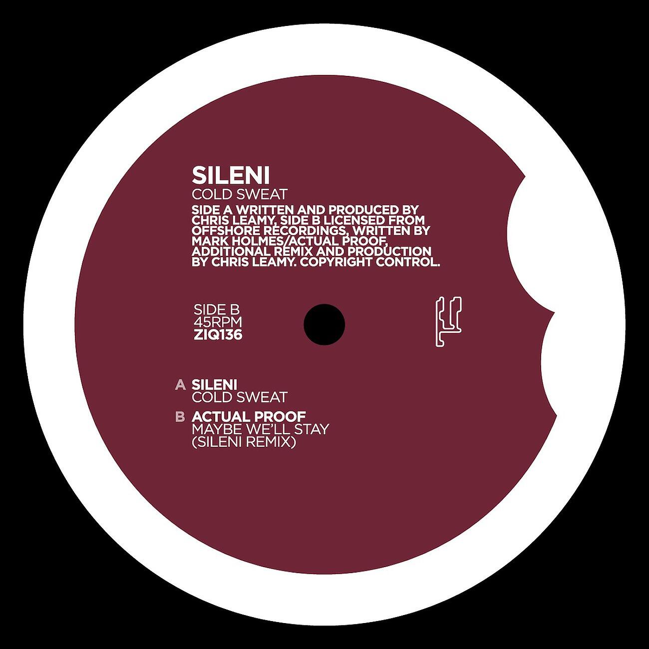 Sileni - Actual Proof - Maybe We'll Stay (Sileni Remix)