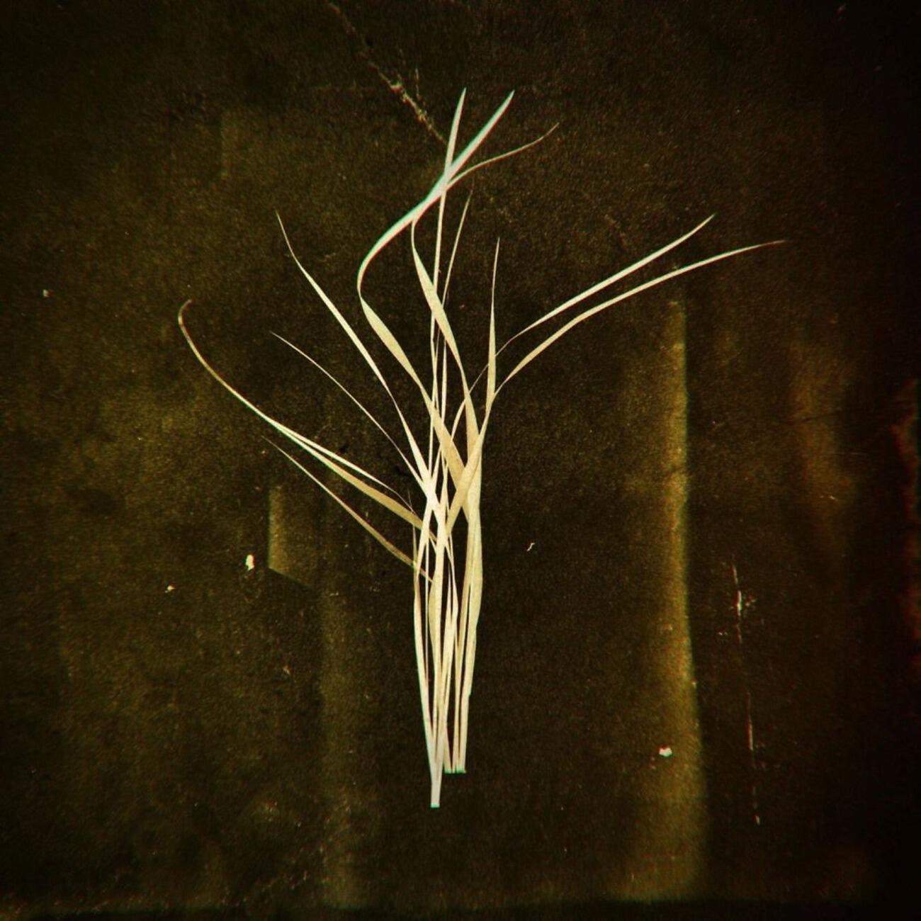 Lumisokea - Hearsay
