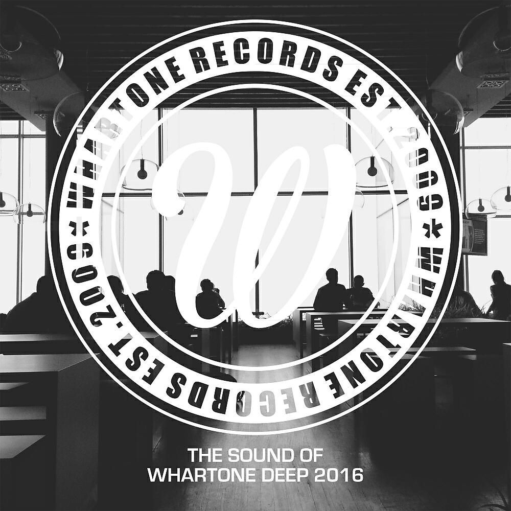 Sirkus Sirkuz - Discozone (Dom Kane Remix)