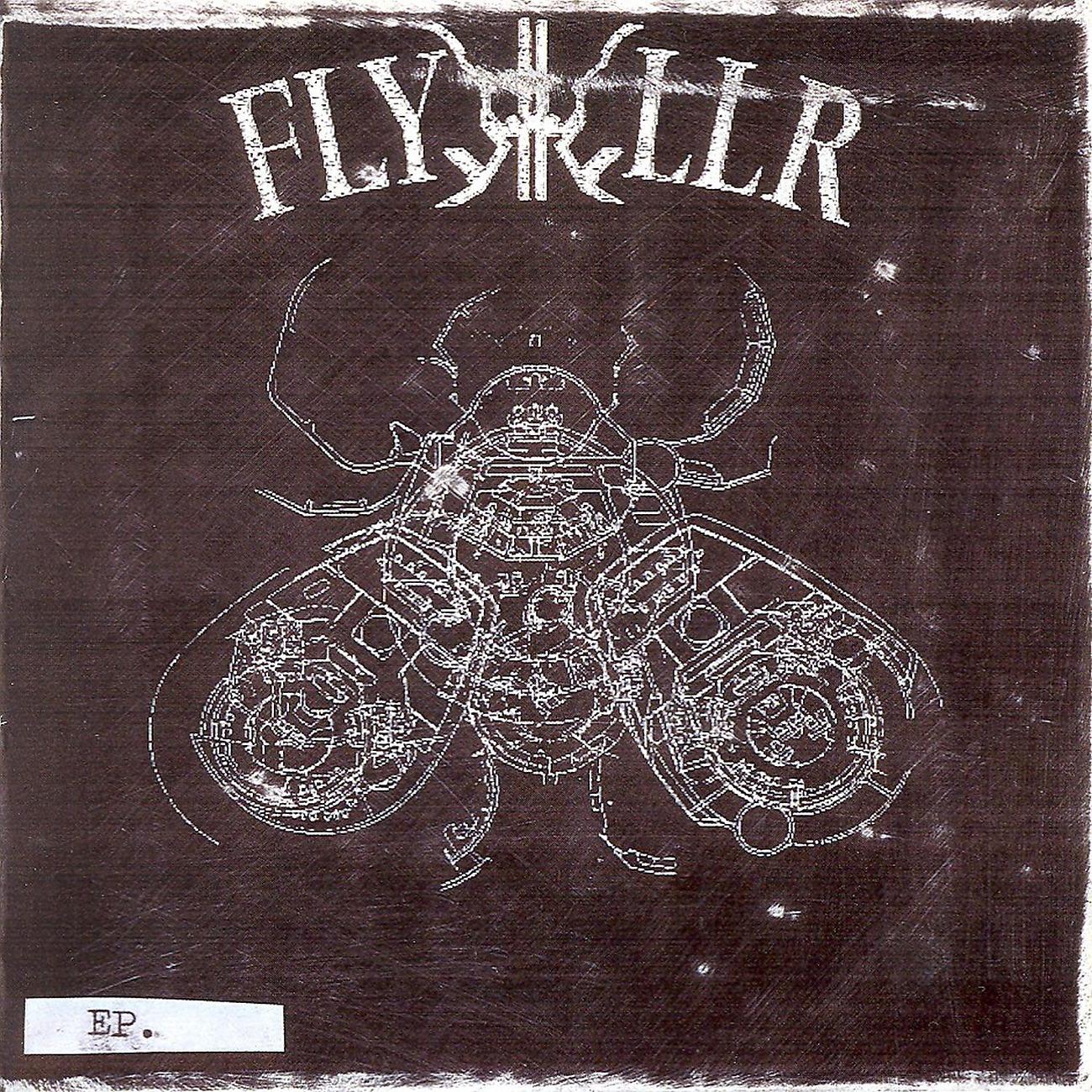 Постер альбома Flykkiller EP