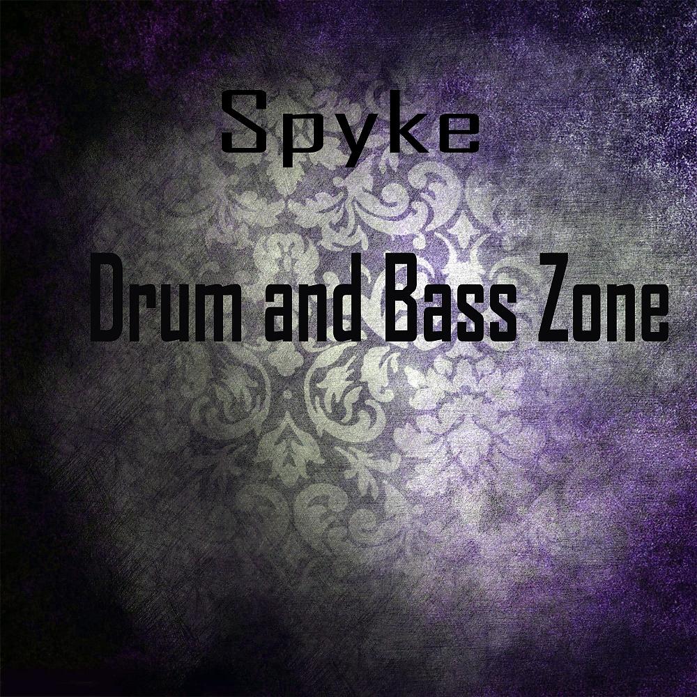 Постер альбома Drum and Bass Zone
