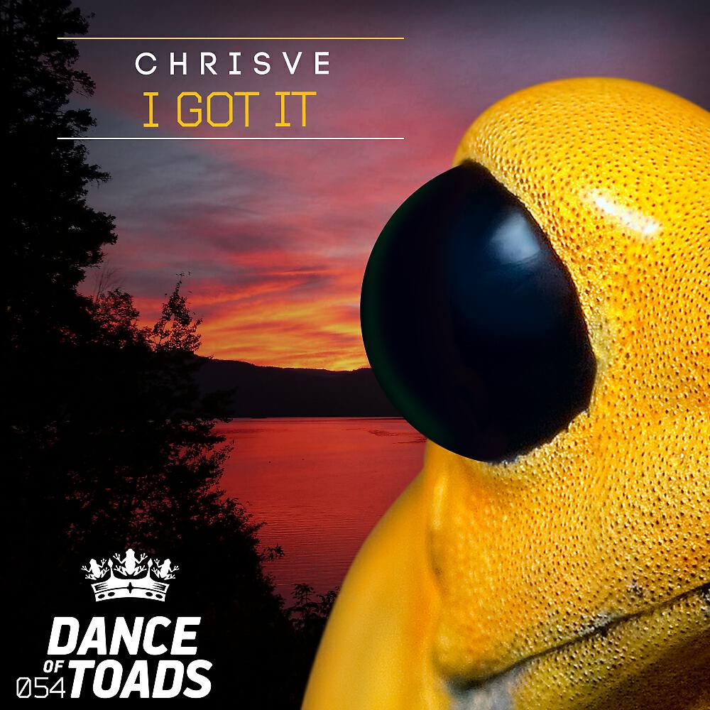 ChrisVe - I Got It (Original Mix)