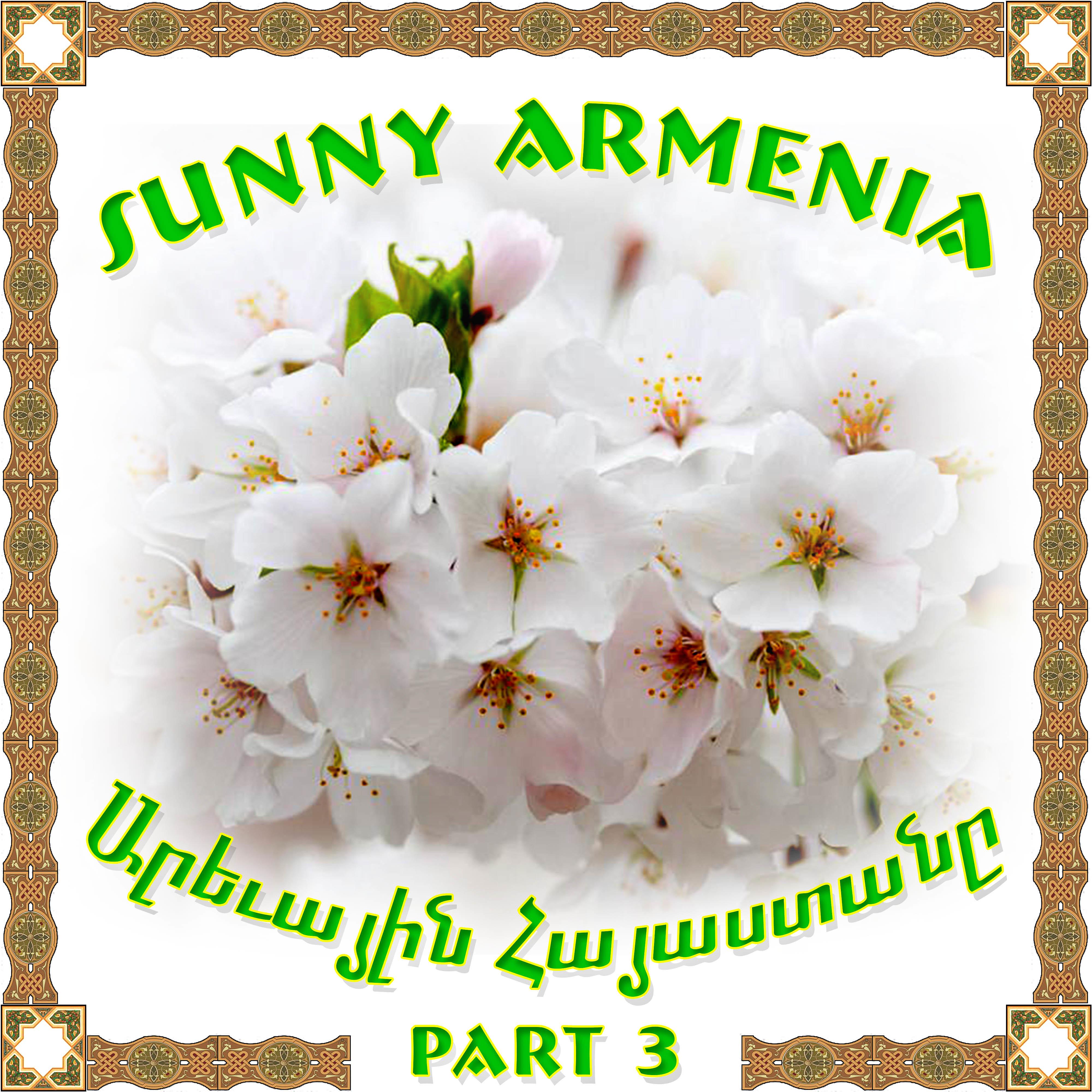 Постер альбома Sunny Armenia 3