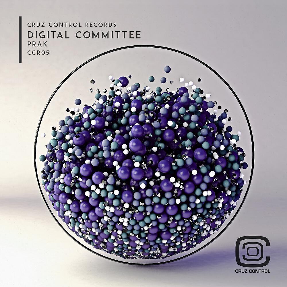 Digital Committee - Prak