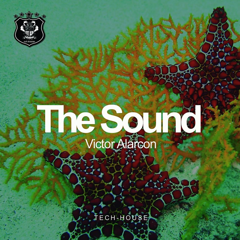 Victor Alarcon - The Sound (Original Mix)