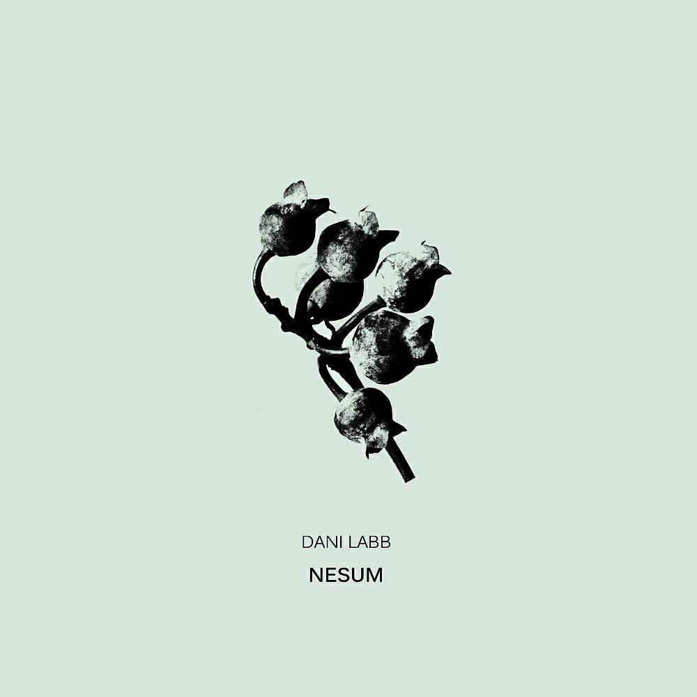 Dani Labb - Nesum (Original Mix)