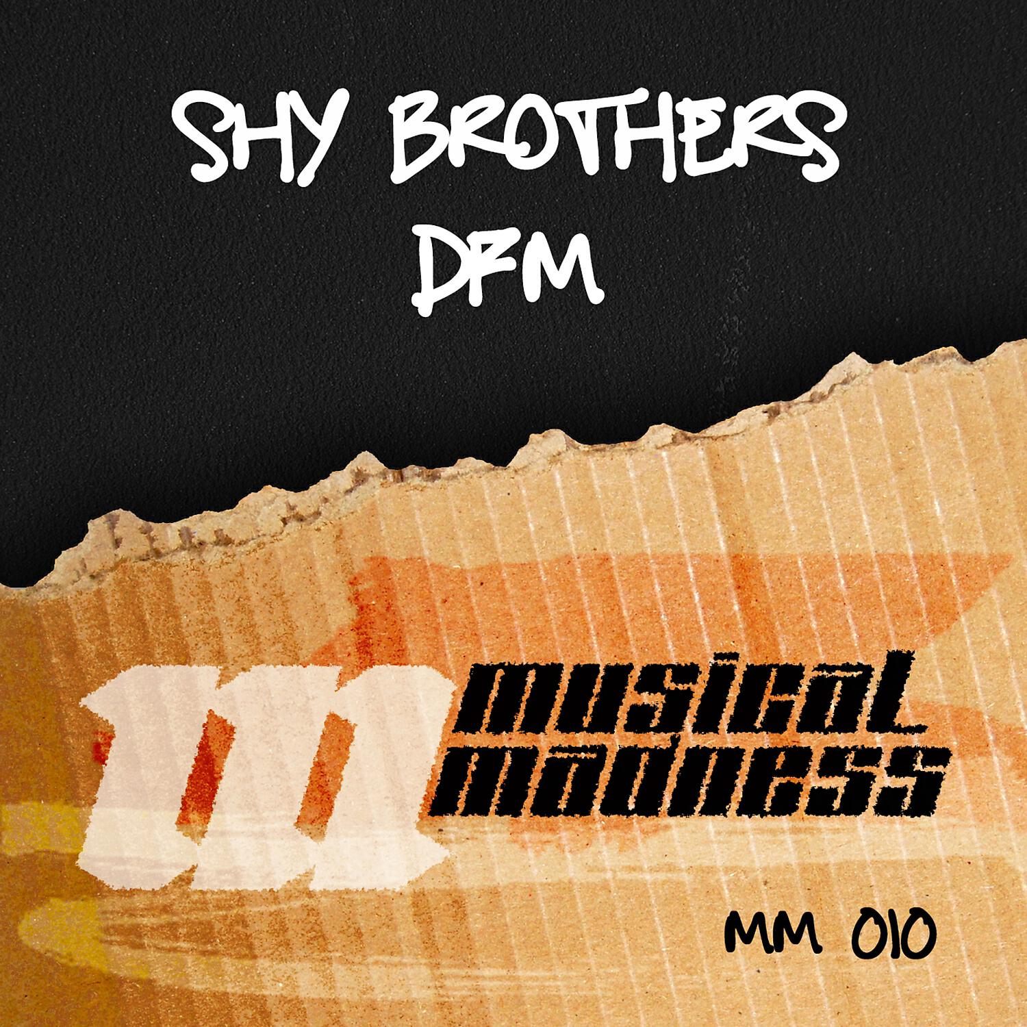 Shy Brothers - DFM  (Jonas Stenberg Remix)