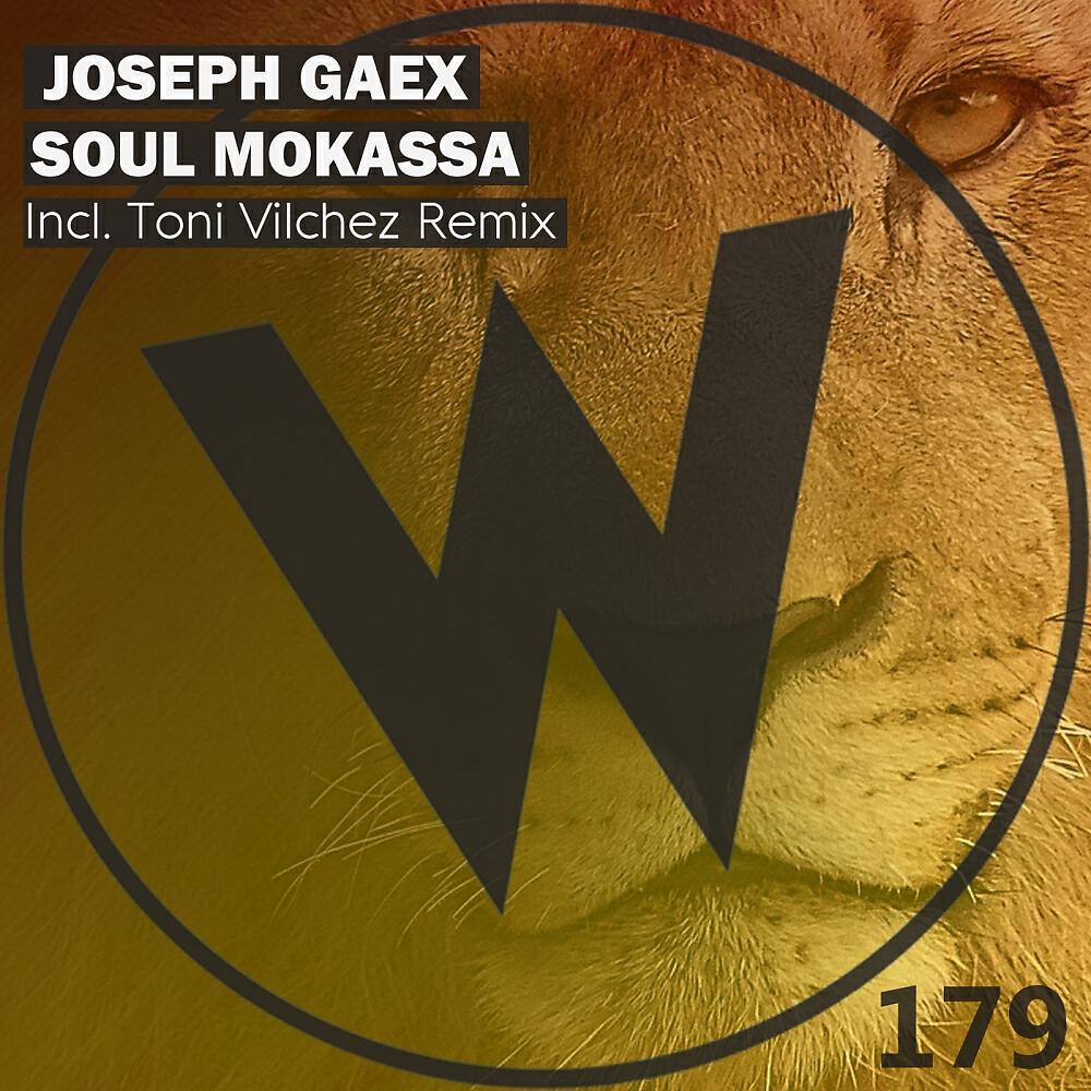 Joseph Gaex - Soul Mokassa (Toni Vilchez Remix)