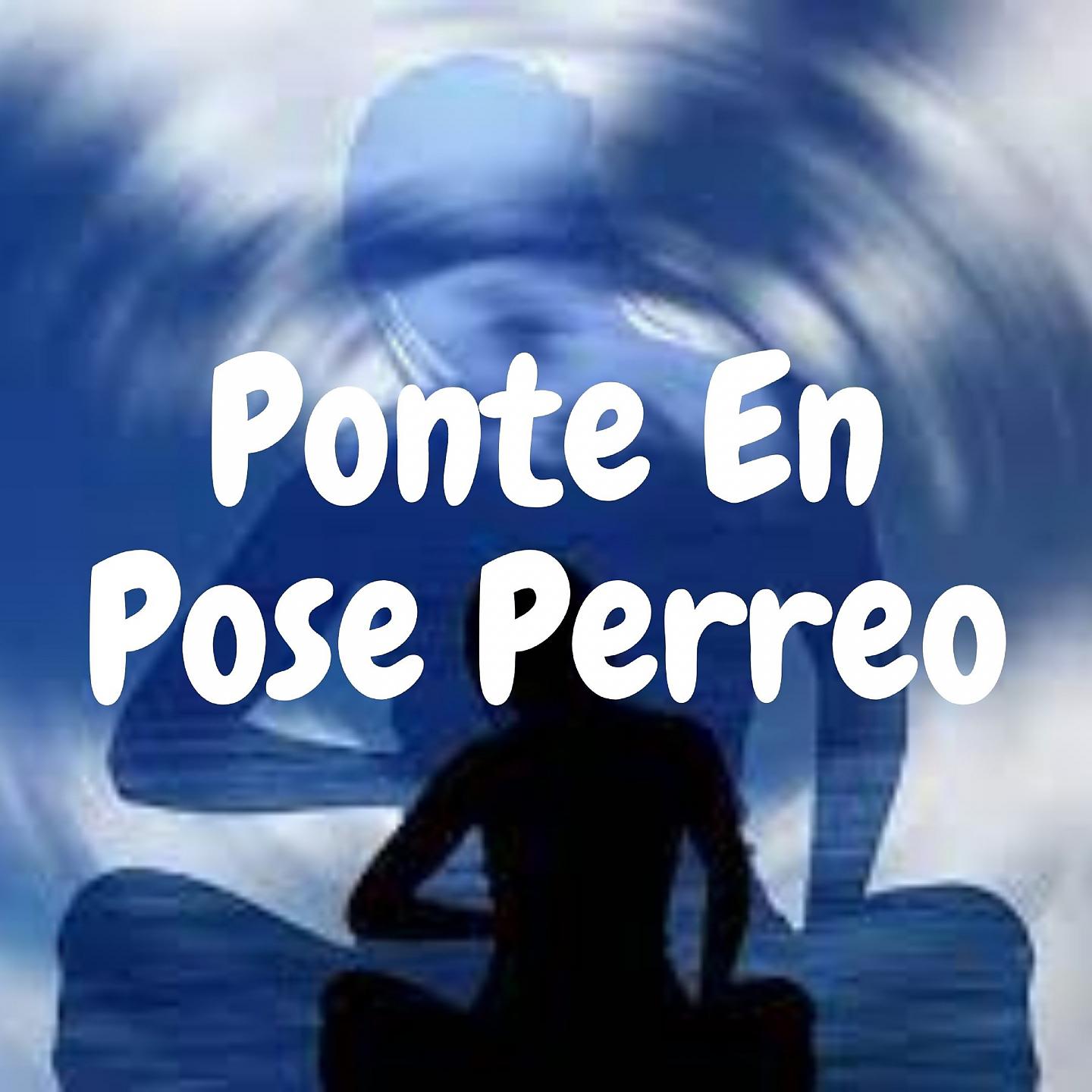 Постер альбома Ponte en Pose Perreo