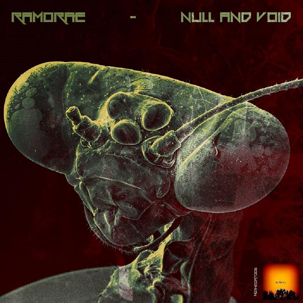 Постер альбома Null & Void