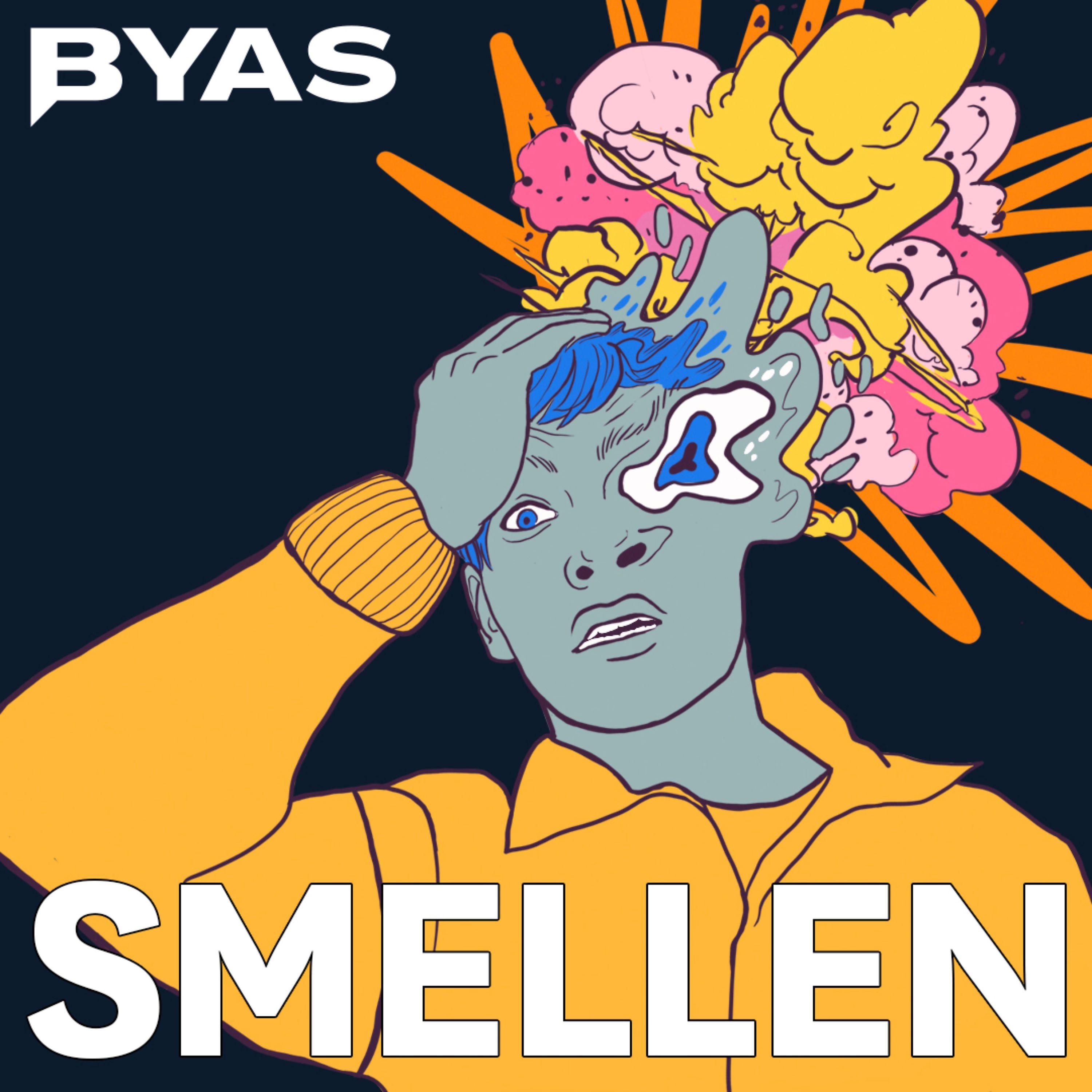 Постер альбома Smellen