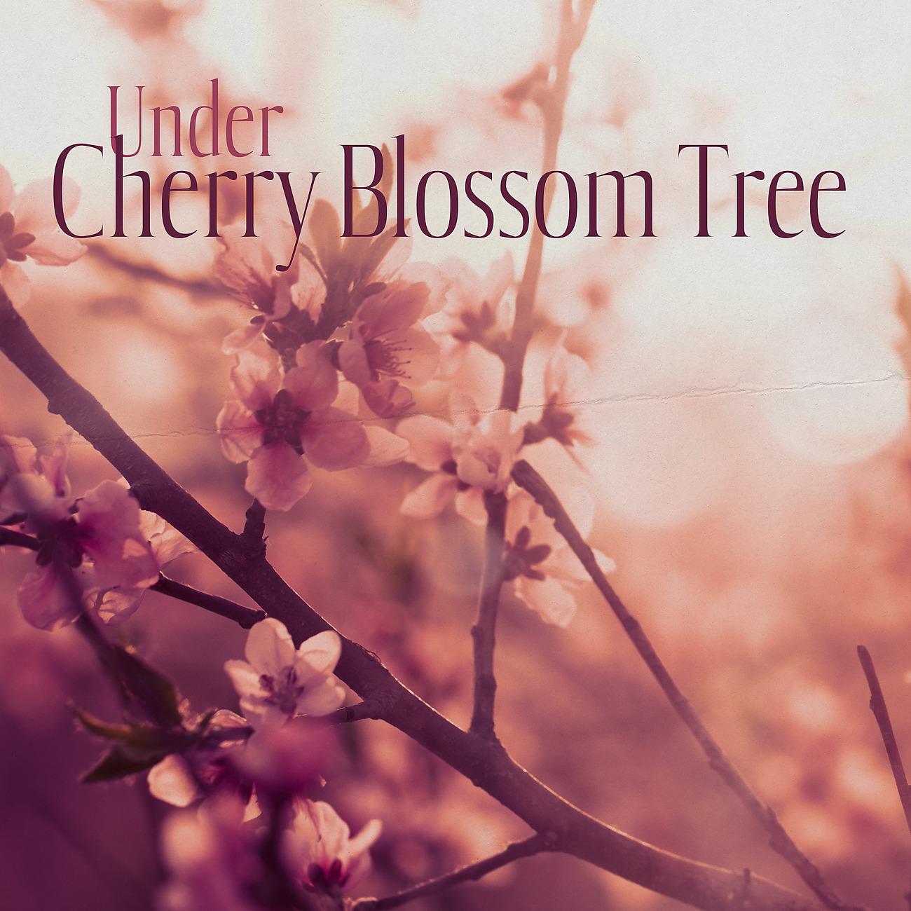 Постер альбома Under Cherry Blossom Tree