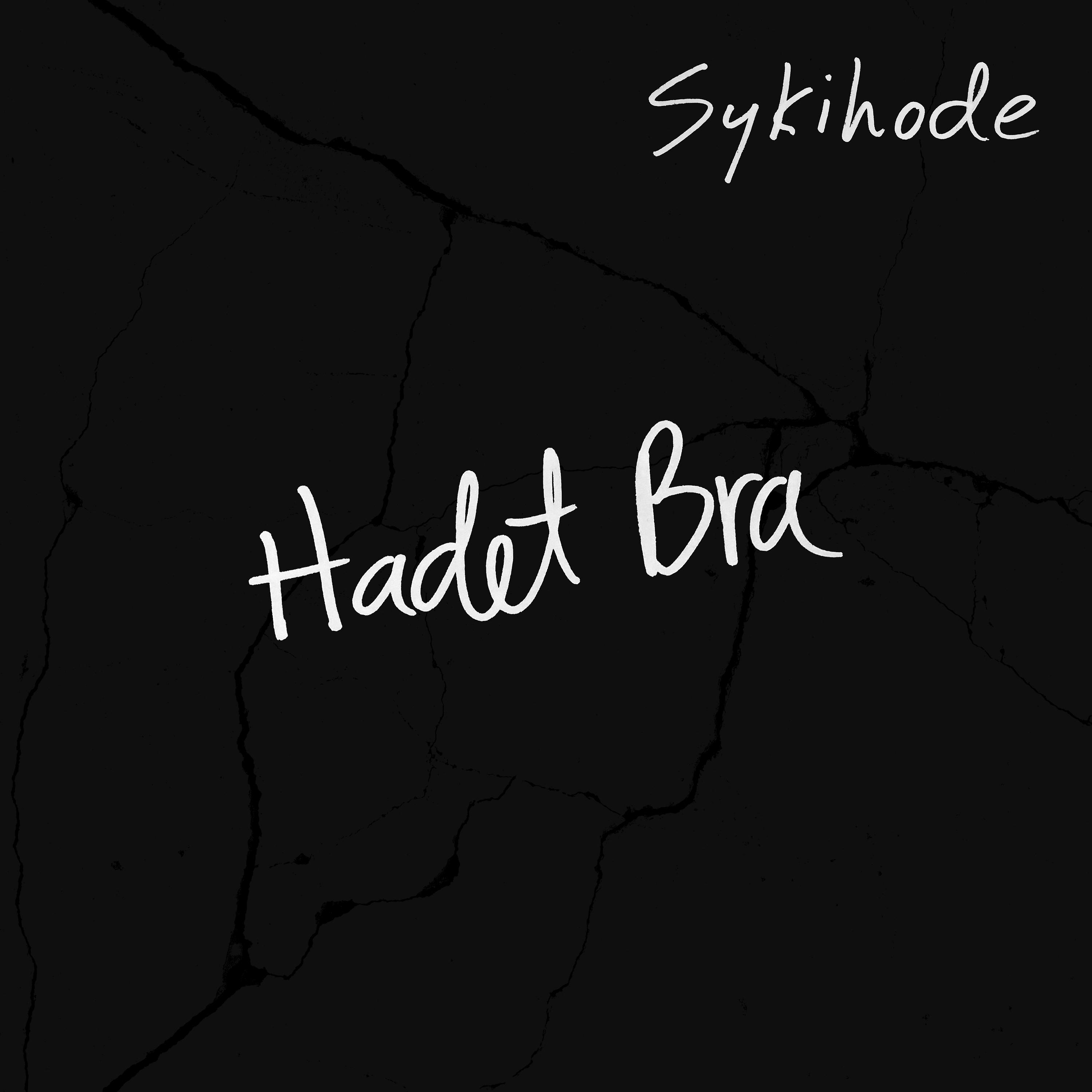Постер альбома Hadet Bra