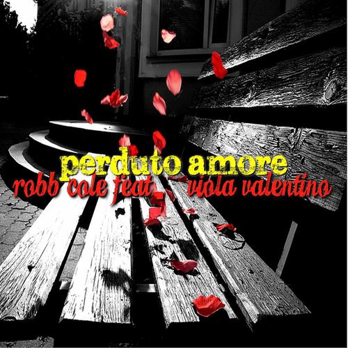 Постер альбома Perduto amore