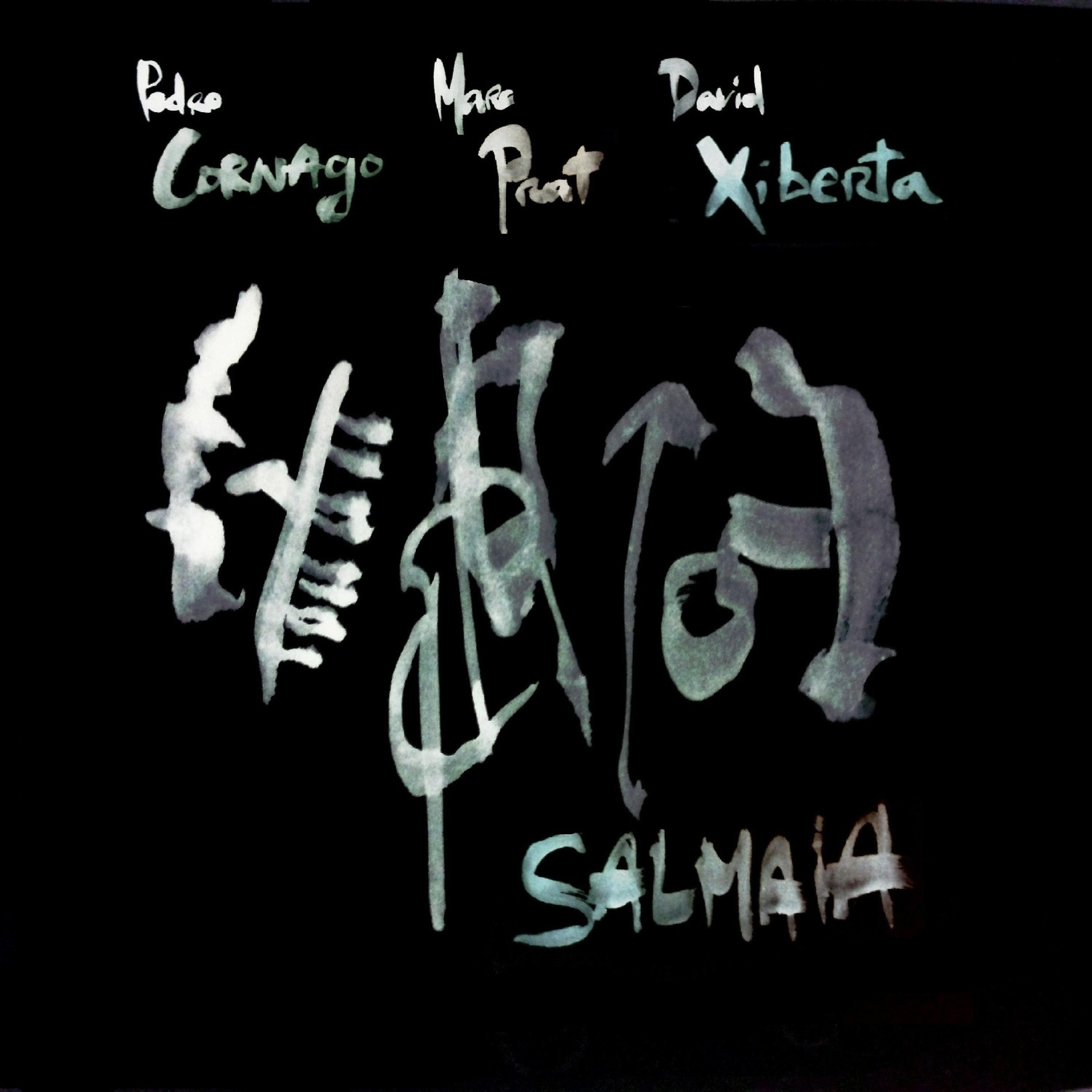 Постер альбома Salmaia (Jazz Trio)