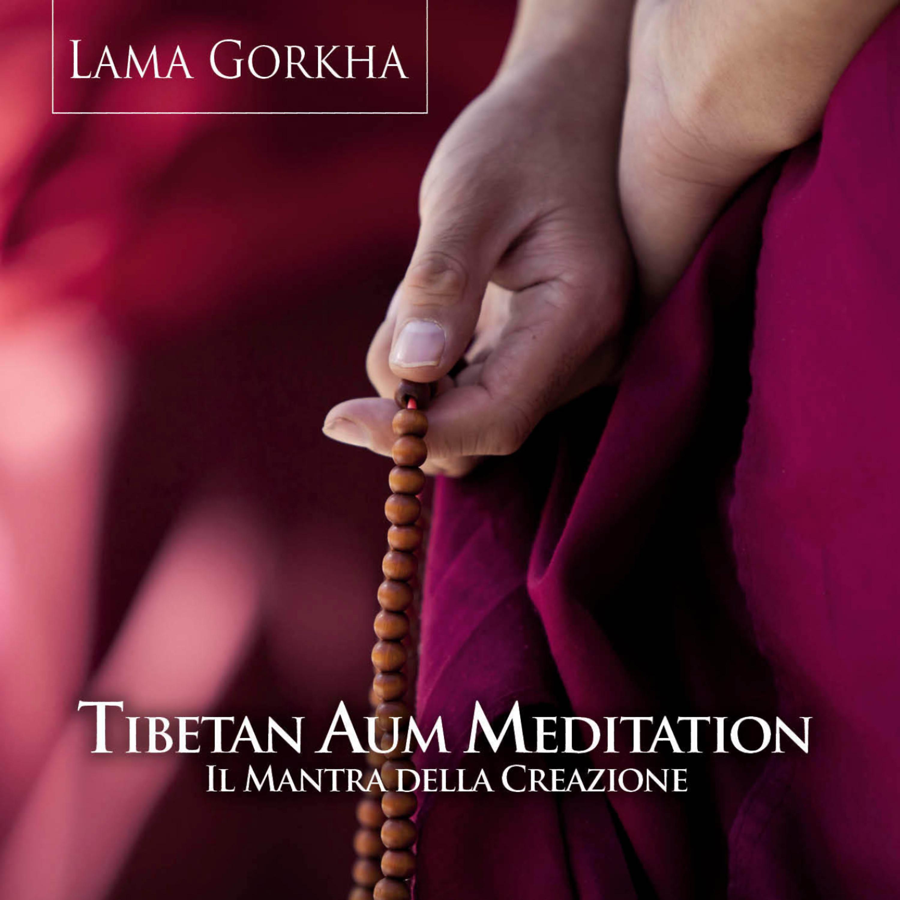 Постер альбома Tibetan Aum Meditation - the Power of the Mantra of Creation