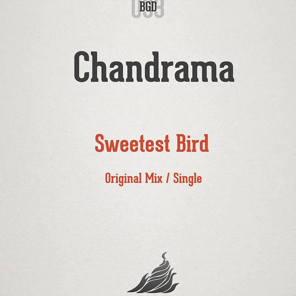 Постер альбома Sweetest Bird