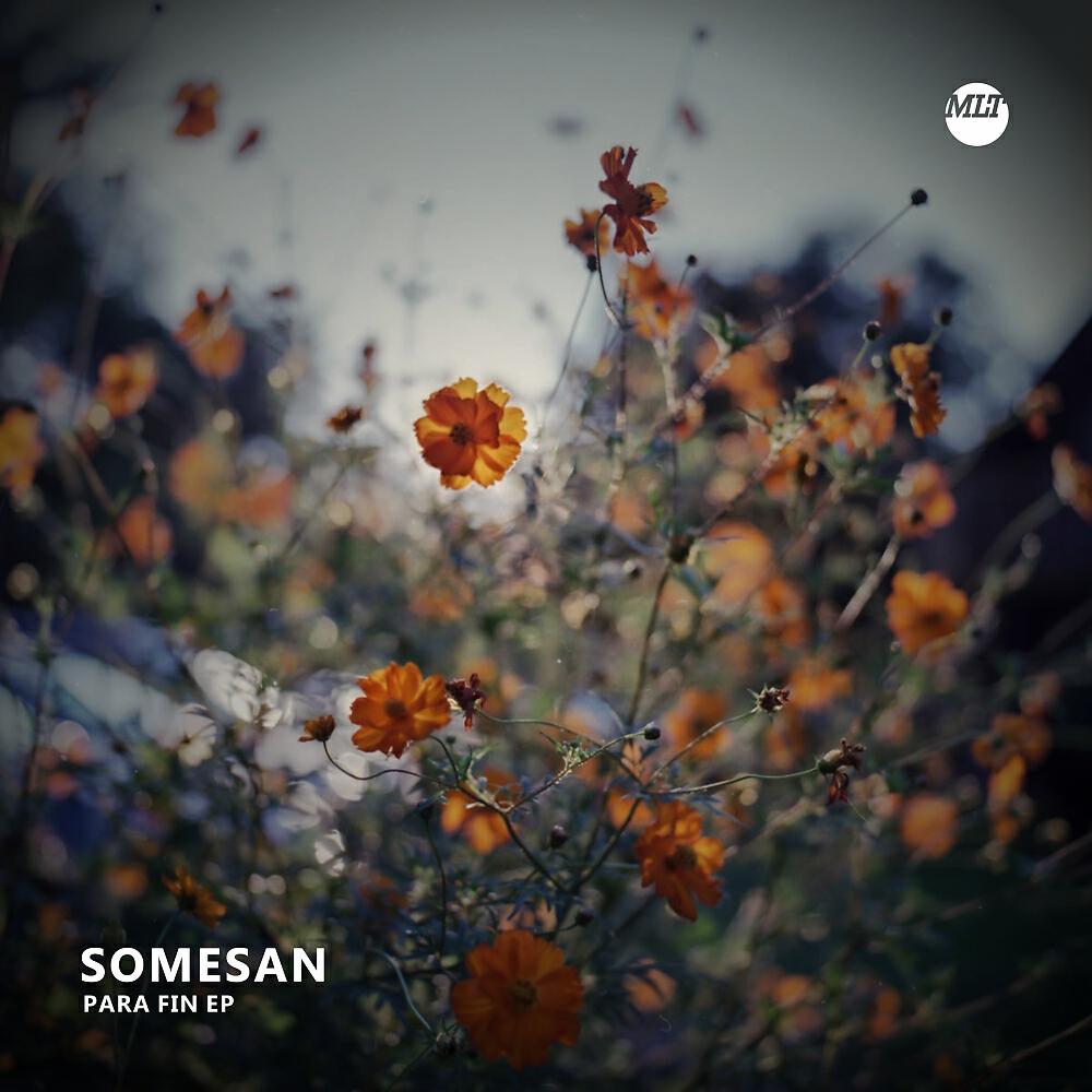 Somesan - Para Dox