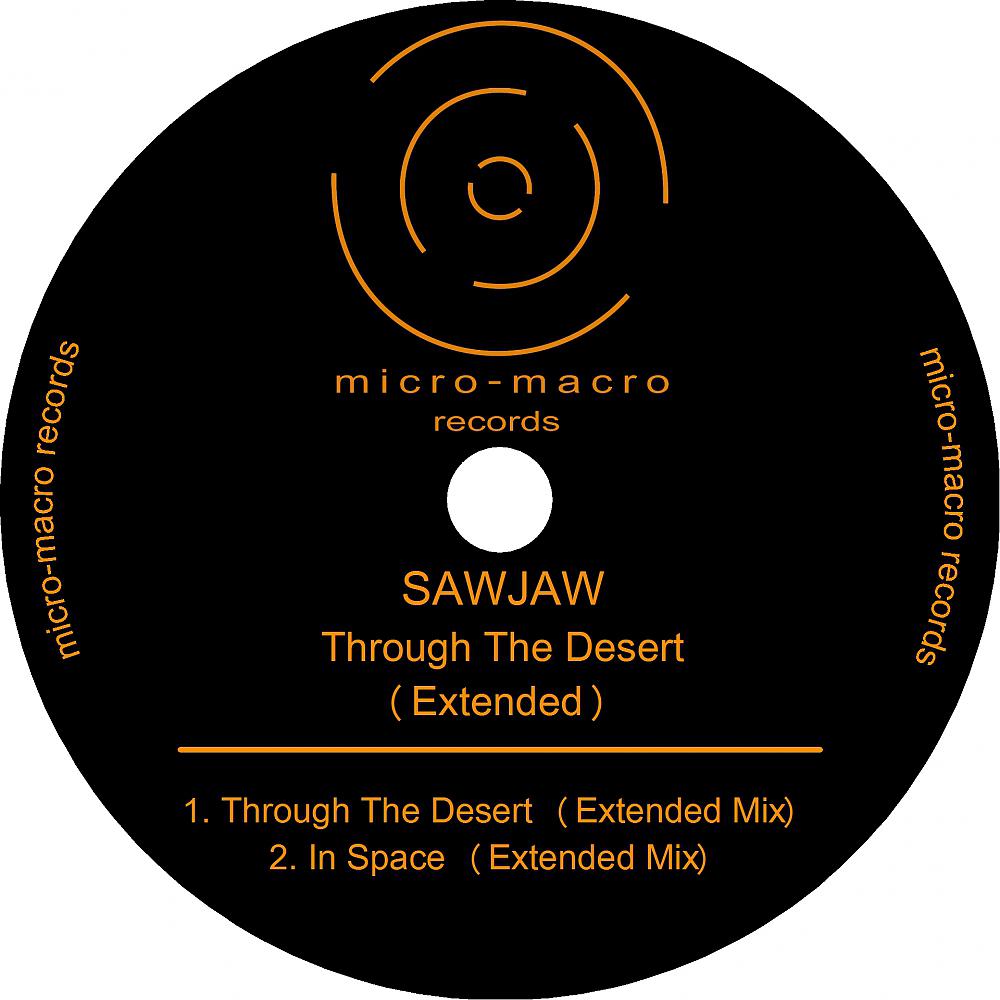 Постер альбома Through The Desert (Extended)