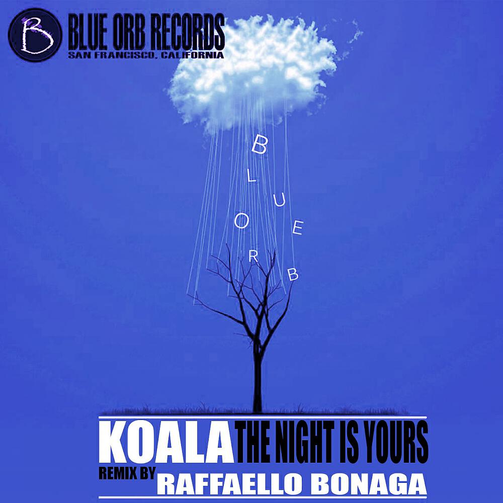 Koala - Landing In The Fog (Raffaello Bonaga Remix)