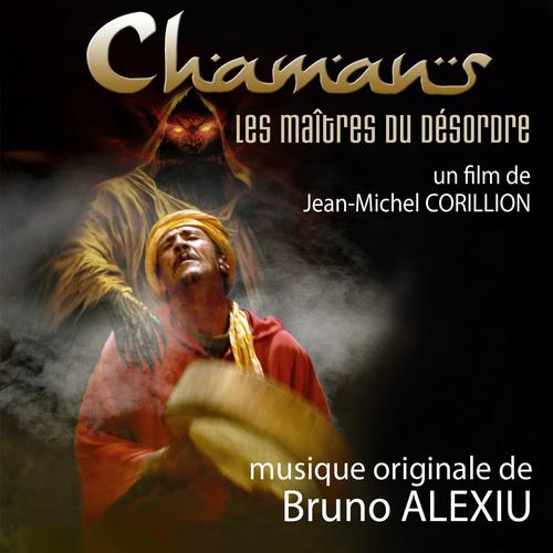 Постер альбома Chamans, les maîtres du désordre