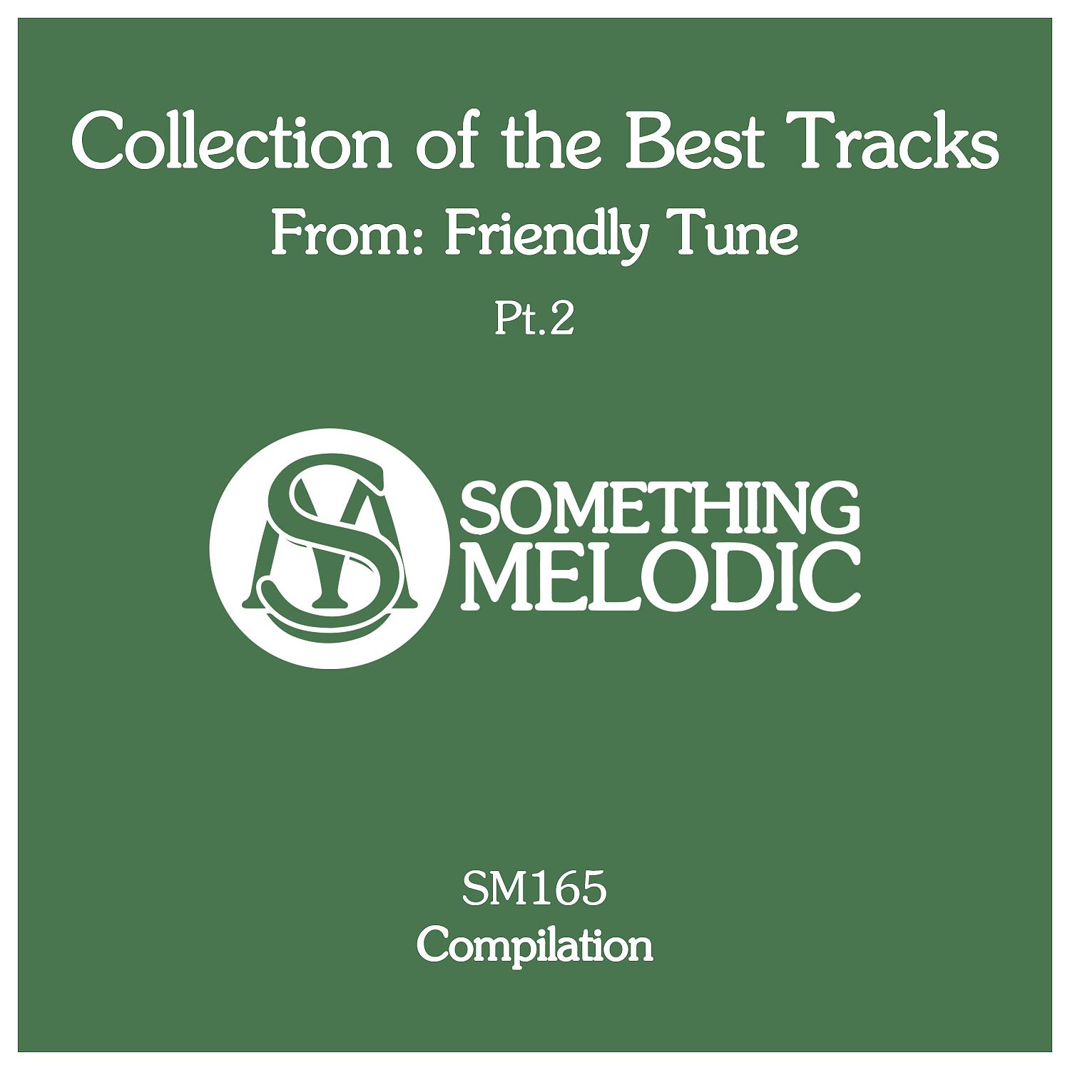 Постер альбома Collection of the Best Tracks From: Friendly Tune, Pt. 2